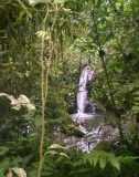 Imagen Cascada Chambira 1